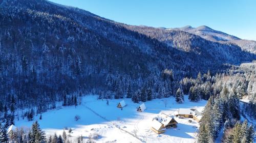 Palyanytsya Cabine | Котедж Зелениця