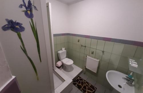 Ivano-Frankivsk Oblast Hôtel | Лагуна