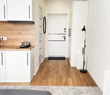 Svyatoshyns'kyi District Appartement | Люкс апартаменти в затишному ЖК бізнес класу