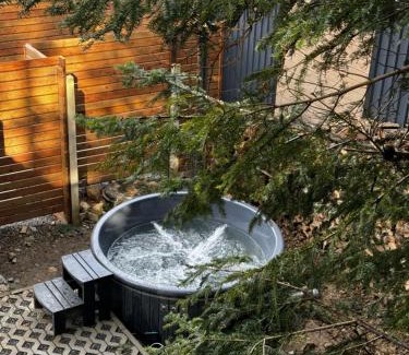 Skhidnytsya Appartement | Парк-готель Щастя