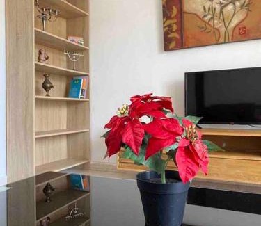 Haifa Appartement | Прекрасная квартира на берегу Средиземного моря