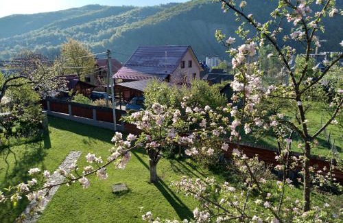 Yaremche Maison | Приватна садиба Яблуневий сад 1