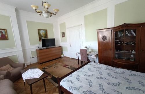 Uzhhorod Appartement | Старовинні апартаменти у центрі міста
