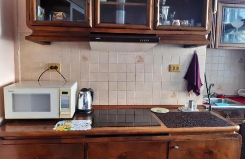 Uzhhorod Appartement | Старовинні апартаменти у центрі міста
