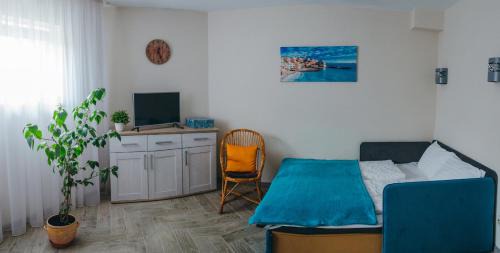 Uzhhorod Appartement | Стильная уютная апарт-студия SILENA