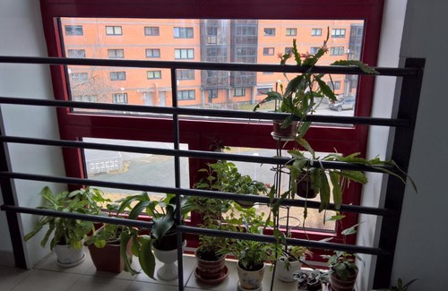 Petrozavodsk Appartement | Студия на Варкауса