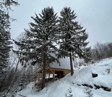 Yaremche Maison | Схованка