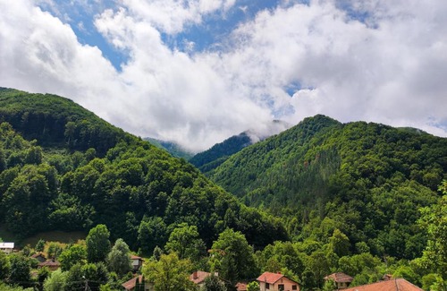 Ribaritsa Villa | Терасите - Къща 4