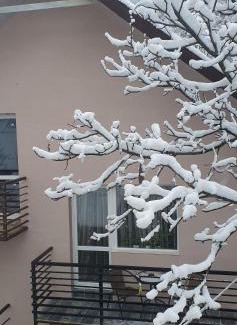 Yaremche Appartement | Три горішки