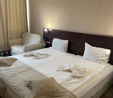 Botevgrad Hôtel | Хотел Ботевград