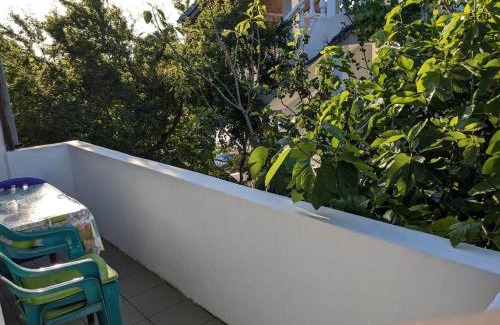 Sinemoretz Maison | Цвета