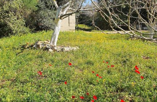 Michmanim Appartement | הבית ליד הבוסתן