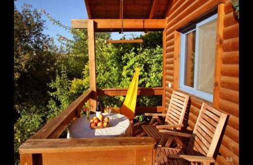 Ramot Appartement | החצר המוסיקלית רמות