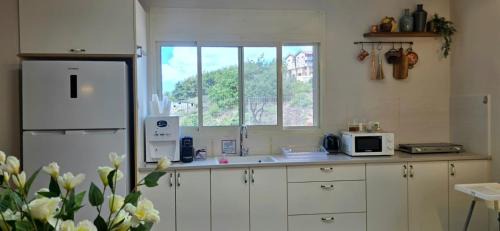 Daliyat al-Karmel Appartement | וילה דיאן