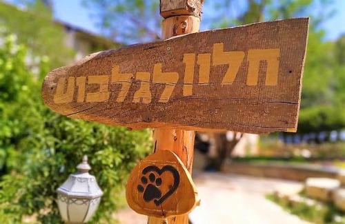 Beit Alfa Appartement | חלון לגלבוע צימר בוטיק בעמק המעיינות