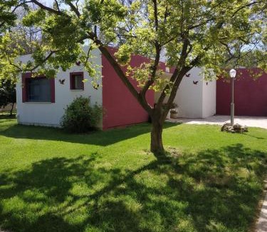 Ami'ad Hôtel | יופי של אירוח בעמיעד