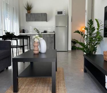 Snir Appartement | סוויטת מול הבניאס