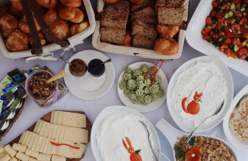 Ein Yahav Appartement | צימרגולה