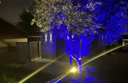 Shezor Hôtel | צימרים בצפון-Amores