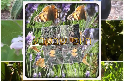 Tsiv'on Appartement | צימרים מול הר מירון בצבעון בגליל העליון אורלי ומאיר,למשפחות ולזוגות