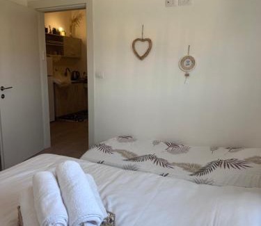 HaGoshrim Appartement | צימר יערת הדבש