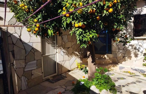 Safed Maison | צפת העיר שאין עוד כמוה בעולם