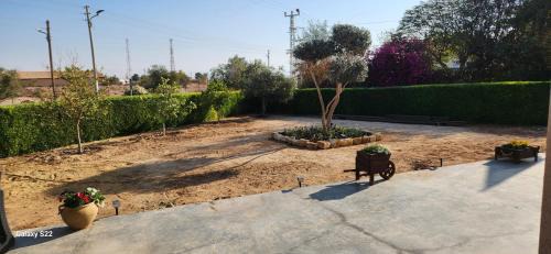 Sapir Appartement | שקט בערבה