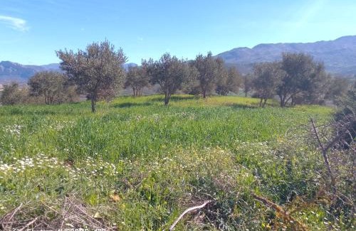 Tetouan Maison | دار الضيافه امال