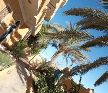 Siwa Appartement | سيتى ستارز