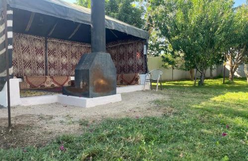Al Aqiq Chalet De Ski | شاليه وحديقة التوت بمسبح