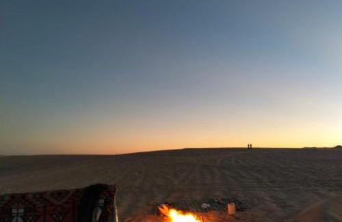 Siwa Hôtel | فندق النخيل