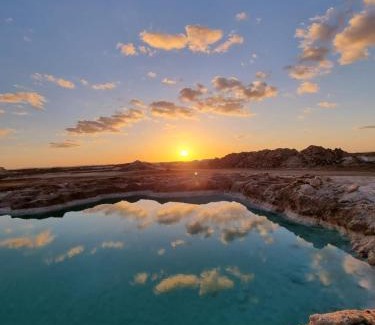 Siwa Hôtel | فندق النخيل