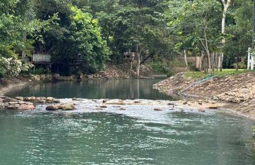 Khao Yai National Park Cabine | กางเขา แคมป์ปิ้ง