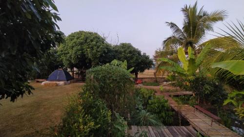 Nan Maison | ต้งโฮมสเตย์ กลางทุ่งนา Local Homestay and View