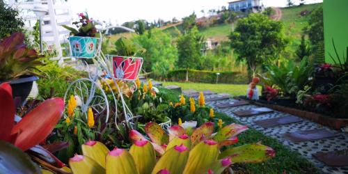 Khaem Son Maison | บ้านปลายฝัน Baanplaifun