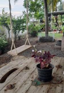 Ban Phai Maison | บ้านพักในสวนK&N2
