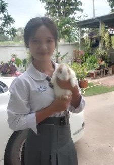 Ban Phai Maison | บ้านพักในสวนK&N2