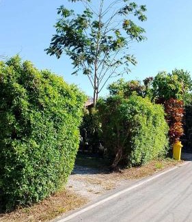 Samut Sakhon Maison | บ้านสโนว์เขาค้อ