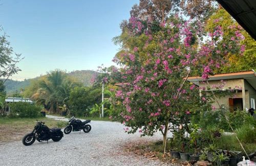 Nakhon Nayok Maison | บ้านอยู่ดีโฮมสเตย์