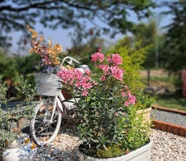 Nong Sarai Maison | บ้านเป็ดน้อย Little duck cottage