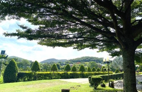Muak Lek Maison | บ้านไร่ปฤษฎางค์ มวกเหล็ก, สระบุรี