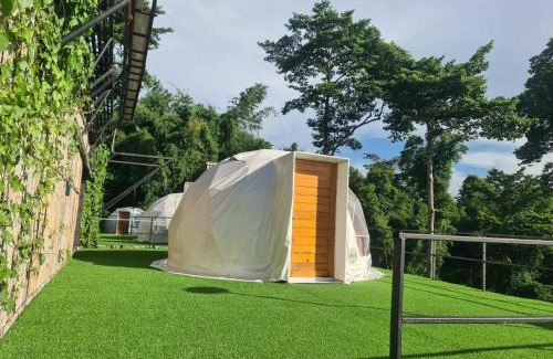 Si Racha Autre | ศูนย์ฝึกอบรมสวนสัตว์เปิดเขาเขียว JJJ