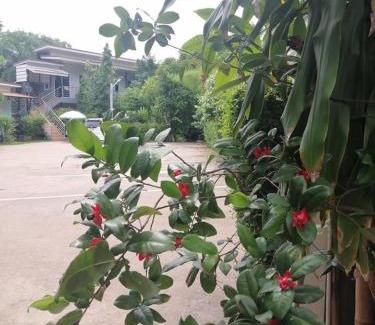 Phen Hôtel | เพ็ญวิวรีสอร์ท Phenview resort