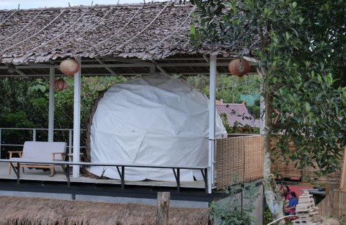 Mok Cham Pae Autre | เห็ดเหลือง แคมป์โซนเต็นท์โดมDome tents Camping Zone Hedreung Rakthai camping