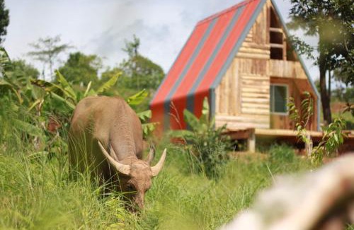 Mok Cham Pae Maison | ไร่นิธิสุนทร nithisoonthon farmstay