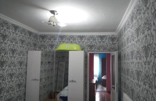 Telavi Appartement | ქირავდება კეთილმოწყობილი ბინა თელავში ალაზნის გამზირზე თვიურად