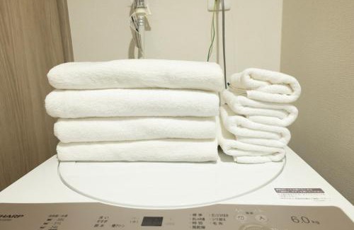 Hakata Ekimae Appartement | リベール博多駅前301