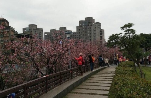 Xizhi District Appartement | Nature 近郊 鬧中取靜 的 好 地方 (內 湖 雅房) Nature à côté de la ville de Taipei