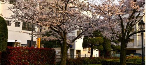 Matsuyama Maison | 媛楽園 松山中心地及び道後温泉に近い家族やグループ旅行の多人数が泊まれる快適な宿