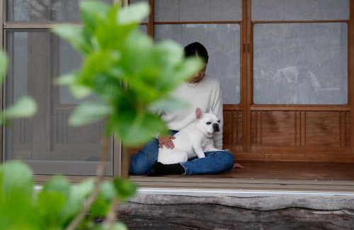 Sakurai Maison | 宿と馬 miru house